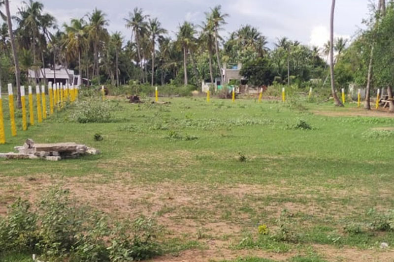 Site available for sales @ Orathanadu town. Total Area: 14000 Sqft. Rs.800/- for Sqft.